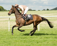 Race 5 - Intermediate Race (5 of 80).jpg