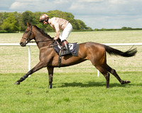 Race 5 - Intermediate Race (7 of 80).jpg