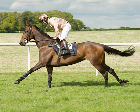 Race 5 - Intermediate Race (7 of 80).jpg