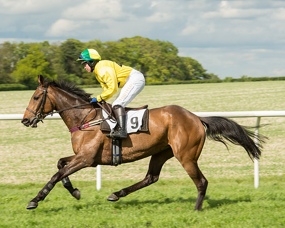 Race 5 - Intermediate Race (26 of 80).jpg