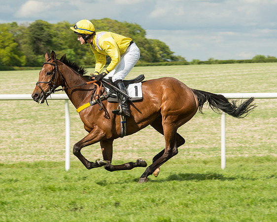 Race 5 - Intermediate Race (29 of 80).jpg
