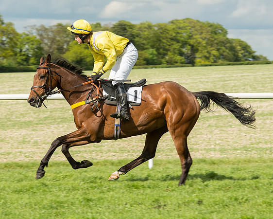Race 5 - Intermediate Race (30 of 80).jpg