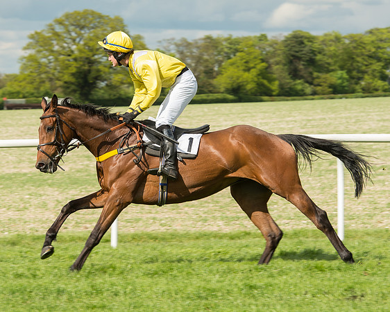 Race 5 - Intermediate Race (31 of 80).jpg