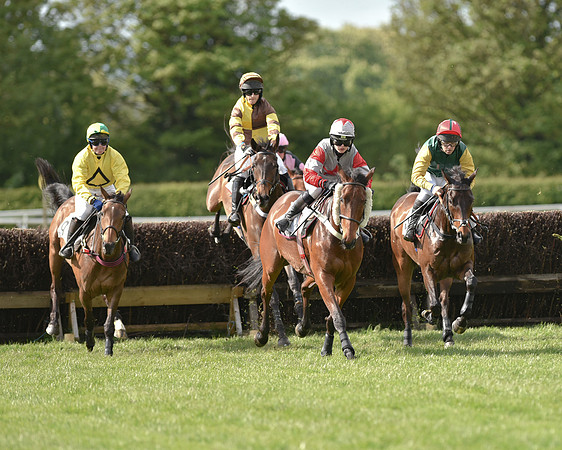 Race 5 - Intermediate Race (36 of 80).jpg
