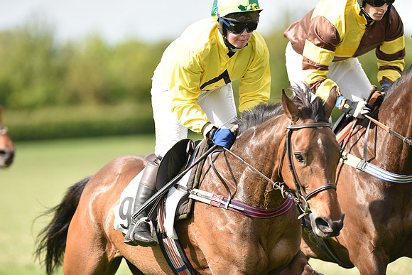 Race 5 - Intermediate Race (44 of 80).jpg