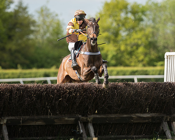 Race 5 - Intermediate Race (65 of 80).jpg
