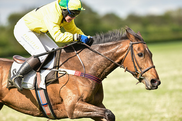 Race 5 - Intermediate Race (69 of 80).jpg