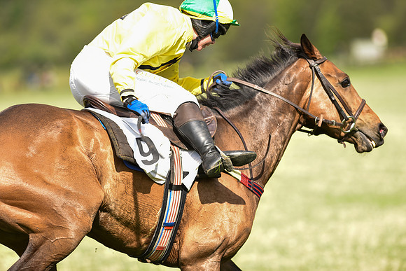 Race 5 - Intermediate Race (70 of 80).jpg