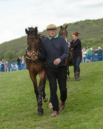 Race 6 - 2M4F Maiden (5 of 112).jpg