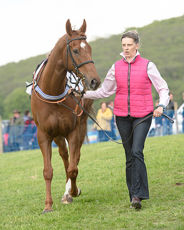 Race 6 - 2M4F Maiden (13 of 112).jpg