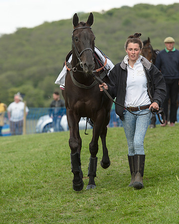 Race 6 - 2M4F Maiden (17 of 112).jpg