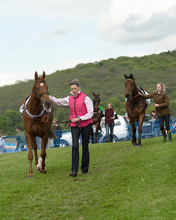 Race 6 - 2M4F Maiden (22 of 112).jpg