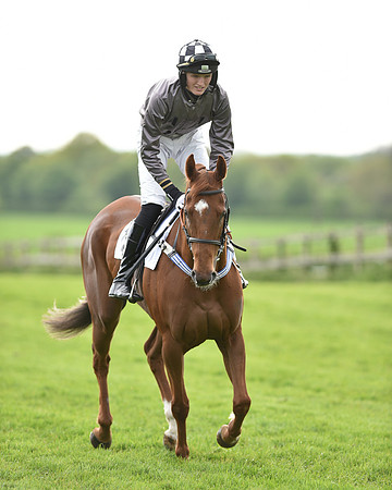 Race 6 - 2M4F Maiden (29 of 112).jpg