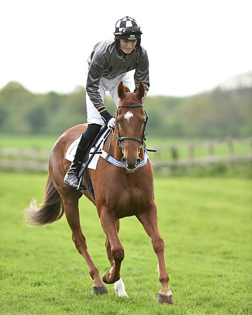 Race 6 - 2M4F Maiden (30 of 112).jpg