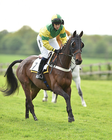 Race 6 - 2M4F Maiden (33 of 112).jpg