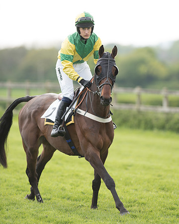 Race 6 - 2M4F Maiden (36 of 112).jpg