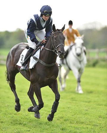 Race 6 - 2M4F Maiden (37 of 112).jpg