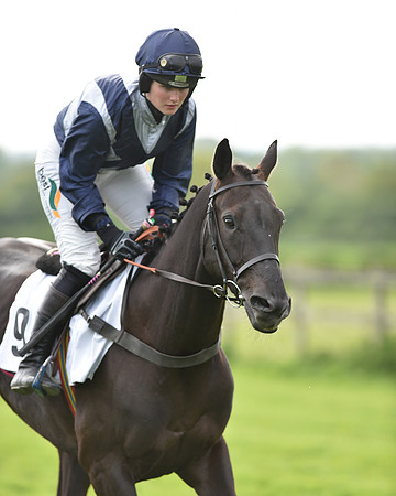 Race 6 - 2M4F Maiden (40 of 112).jpg