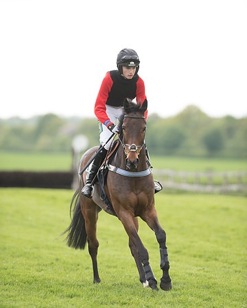 Race 6 - 2M4F Maiden (44 of 112).jpg