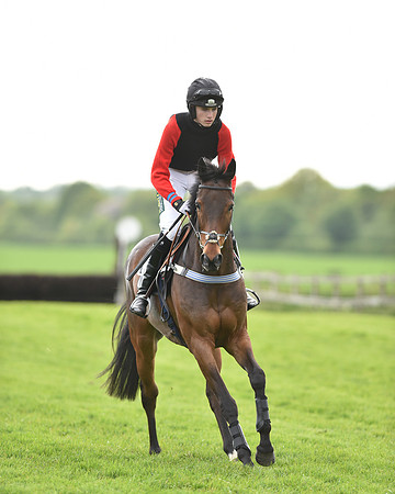 Race 6 - 2M4F Maiden (43 of 112).jpg