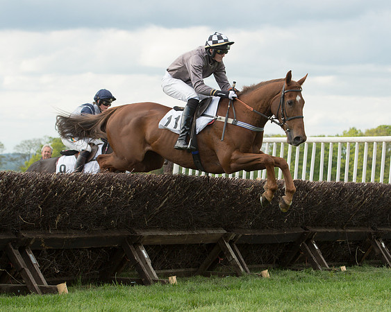 Race 6 - 2M4F Maiden (58 of 112).jpg
