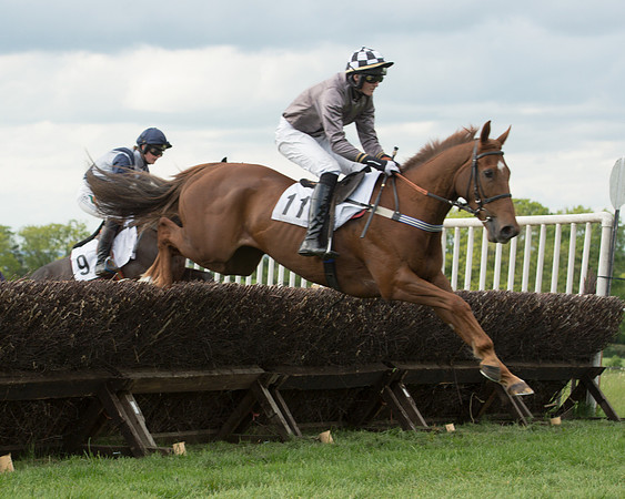 Race 6 - 2M4F Maiden (59 of 112).jpg