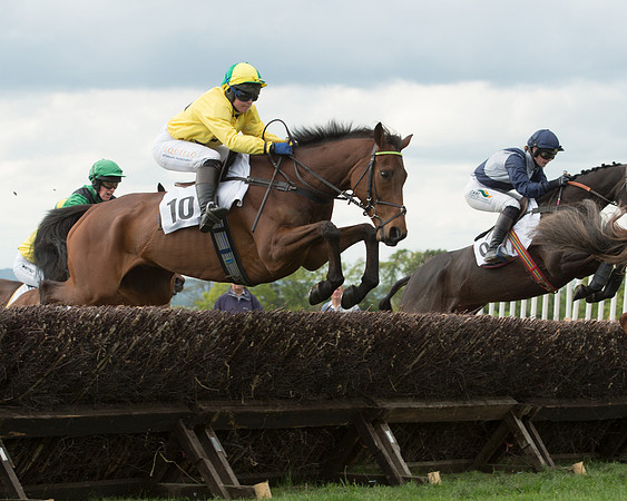 Race 6 - 2M4F Maiden (60 of 112).jpg