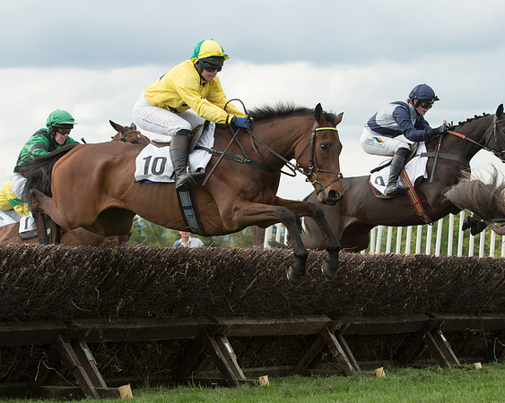 Race 6 - 2M4F Maiden (61 of 112).jpg