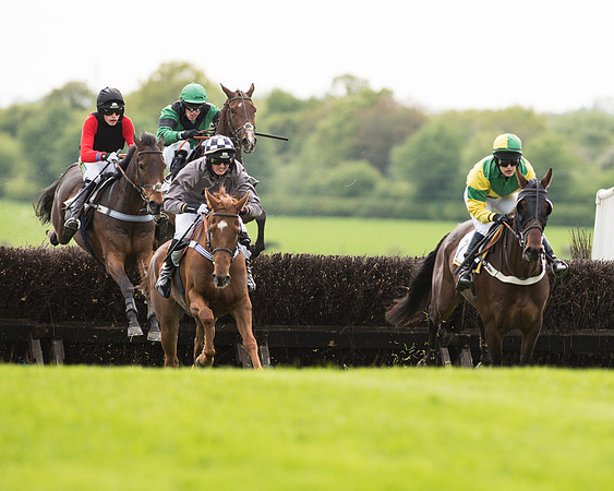 Race 6 - 2M4F Maiden (74 of 112).jpg