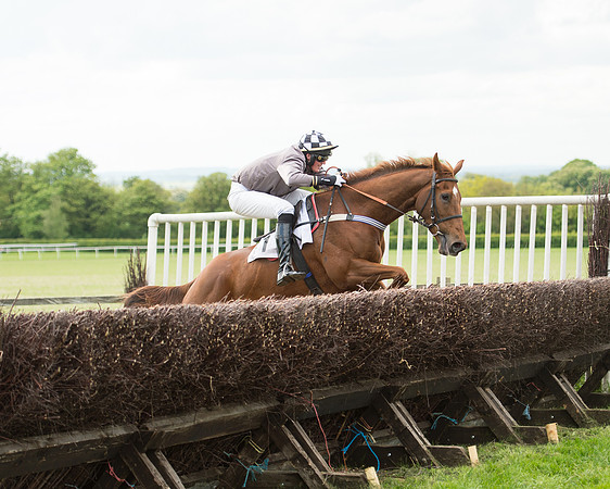 Race 6 - 2M4F Maiden (87 of 112).jpg