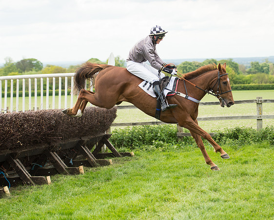 Race 6 - 2M4F Maiden (91 of 112).jpg