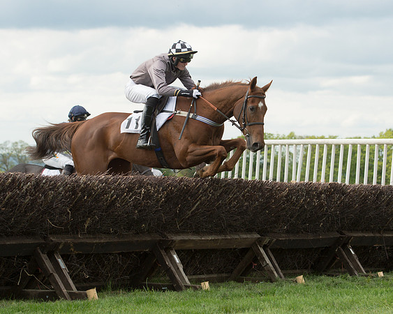Race 6 - 2M4F Maiden (57 of 112).jpg