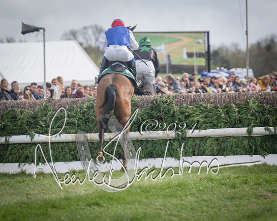 Race 4 - Bicester Gold Cup mixed Open (35 of 89)