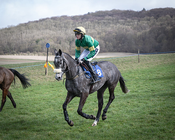 Race 1 - Four and Five year Old Maiden (53 of 137)