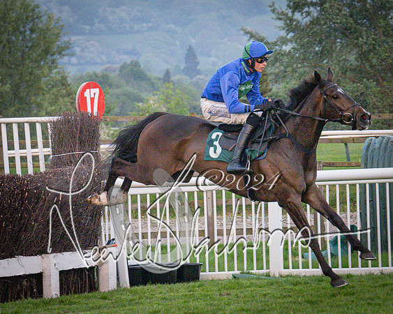 Race - 7 The Royal Gloucester Hussars Open Hunter's steeplechase 2m4f 127y (68 of 210)