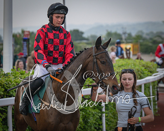 Race 5 - Mares Open Hunter Steeplechase 3m2f 70y (29 of 269)