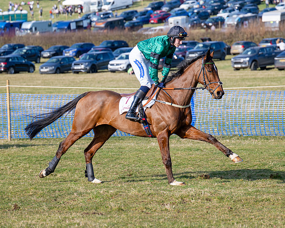 Race 5 - PPORA Five years and over (59 of 163)