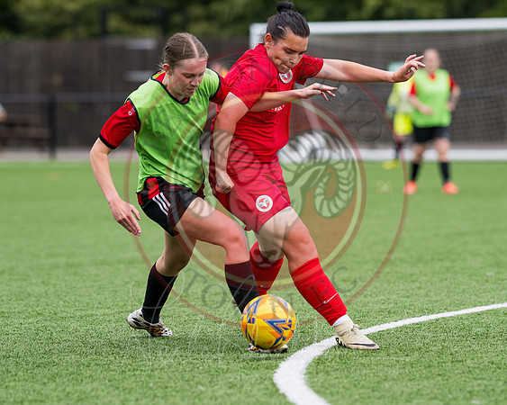 Womens Tournament (45 of 361)