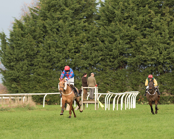 Race 5 - Open Maiden 71