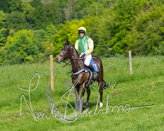 Race 5  - Maiden race 2m5F Div-1 (104 of 197)