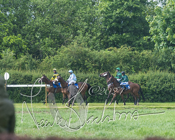 Race 4 - Mixed Open (118 of 591)