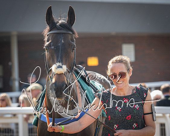 Race 1 - The Bottle Green Open Hunters steeplechase 2m62y (2 of 93)