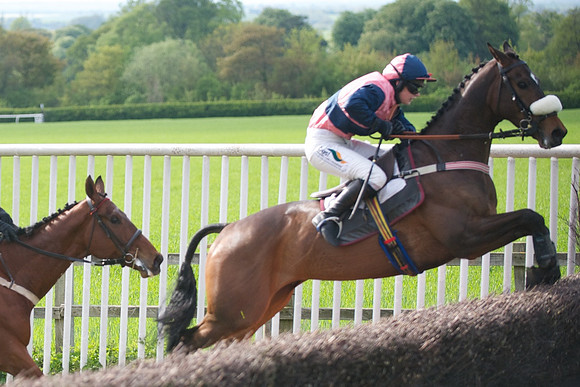 Race 6 -  41