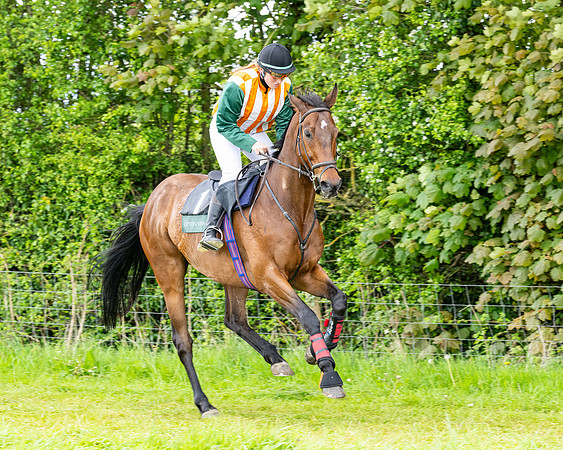 Race 2 - 2M4F Conditions (37 of 195)