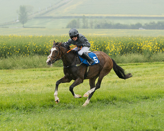 Pony Race 2 (52 of 113)