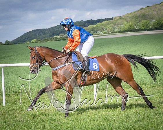 Race 4 - The Dickie Lim Mixed Open Race (27 of 101)