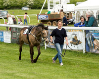 Pony Race - 1 (2 of 49).jpg