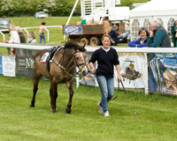 Pony Race - 1 (3 of 49).jpg