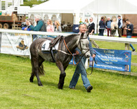 Pony Race - 1 (6 of 49).jpg