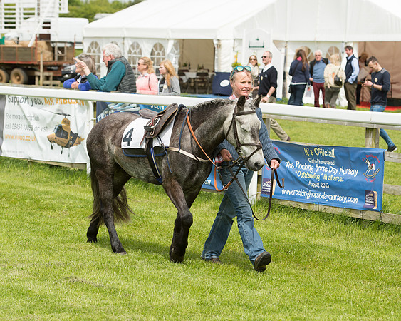 Pony Race - 1 (6 of 49).jpg